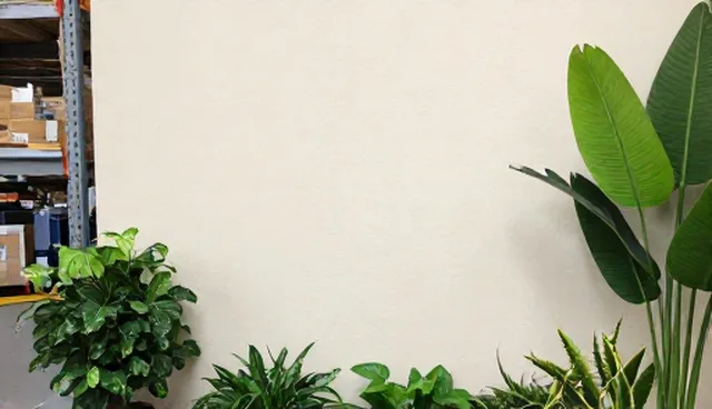 企业展示推广：一站式与传统模式的对比与选择